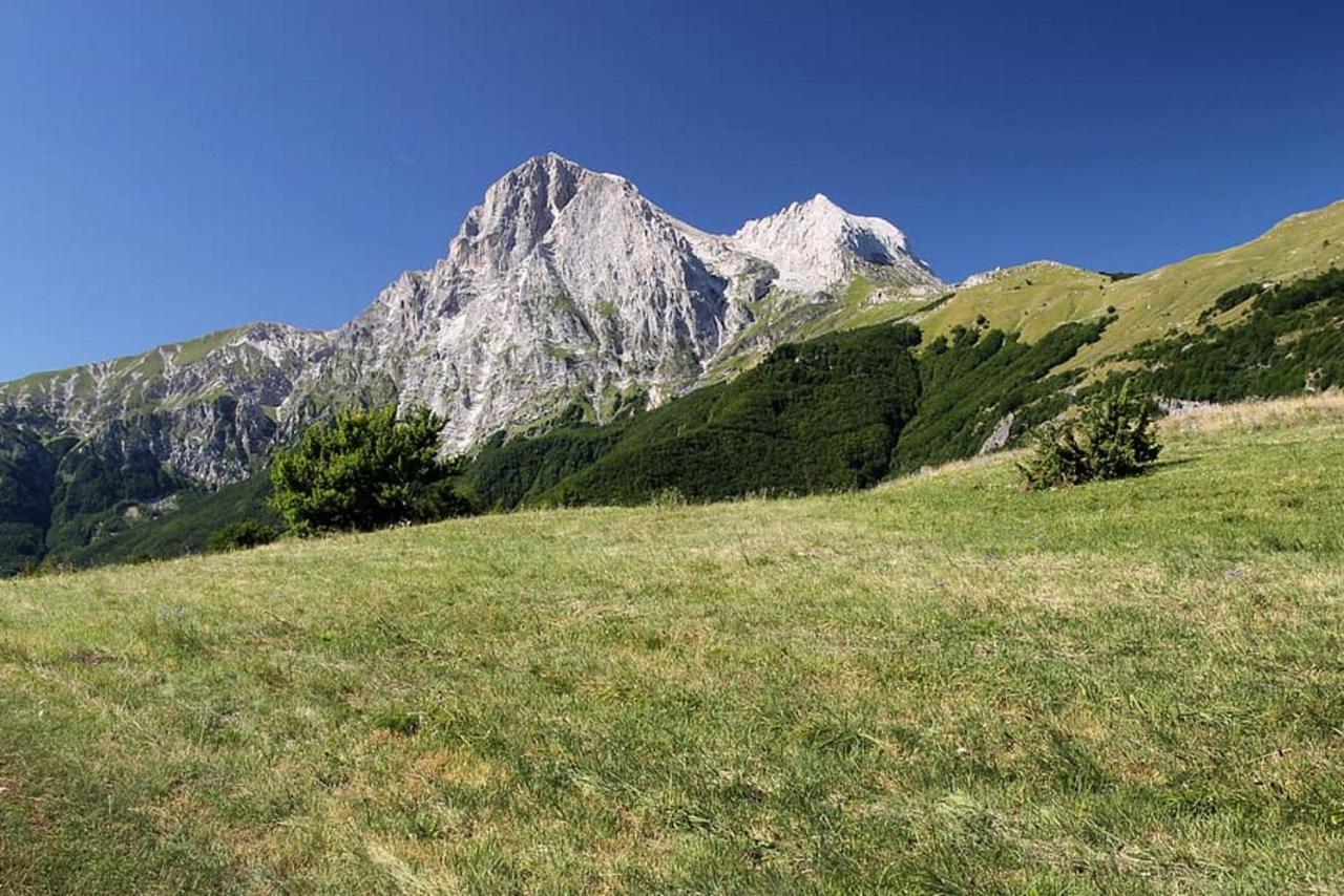 Poggio Picenze Complesso Turistico Aurora - Camere B&B المظهر الخارجي الصورة
